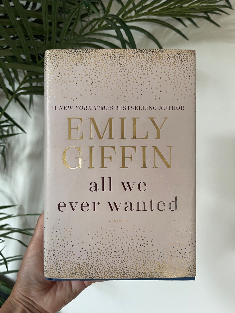 Emily Giffin | All We Ever Wanted | Hardcover Novel | Bestseller